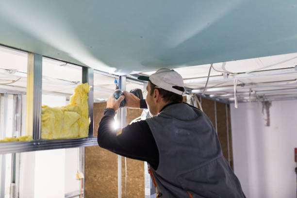 Best Insulation Installation Services in Silver Lake, OH